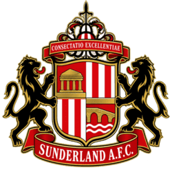 dls Sunderland logo