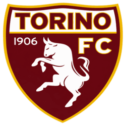dls Torino logo dls Torino logo