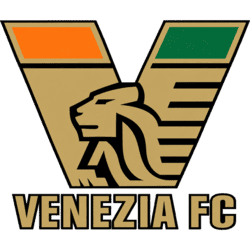 dls Venezia logo dls Venezia logo