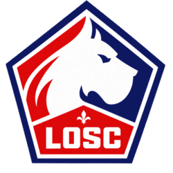 dls logo 11 6 dls Lille logo