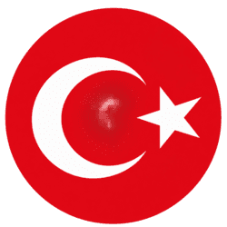 dls turkiye logo