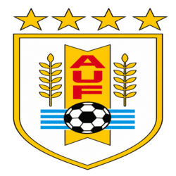 dls uruguay logo