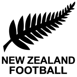 dls New zealand logo