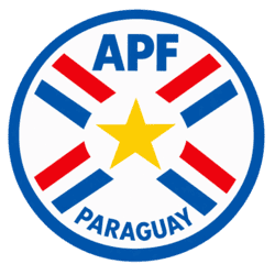 dls paraguay logo