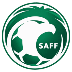 dls saudi arabia logo