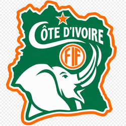 dls cote d'ivoire logo