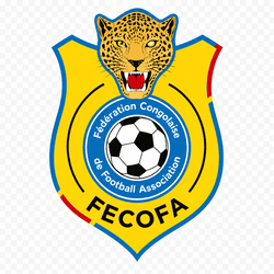 dls congo dr logo