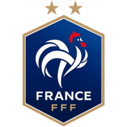 dls France logo