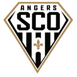 dls logo 6 7 dls Angers logo