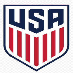 dls USA logo