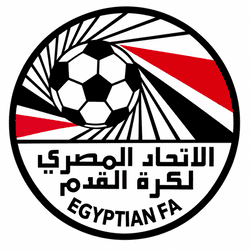 dls egypt logo