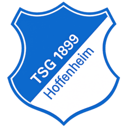 dls logo 82 dls Hoffenheim logo