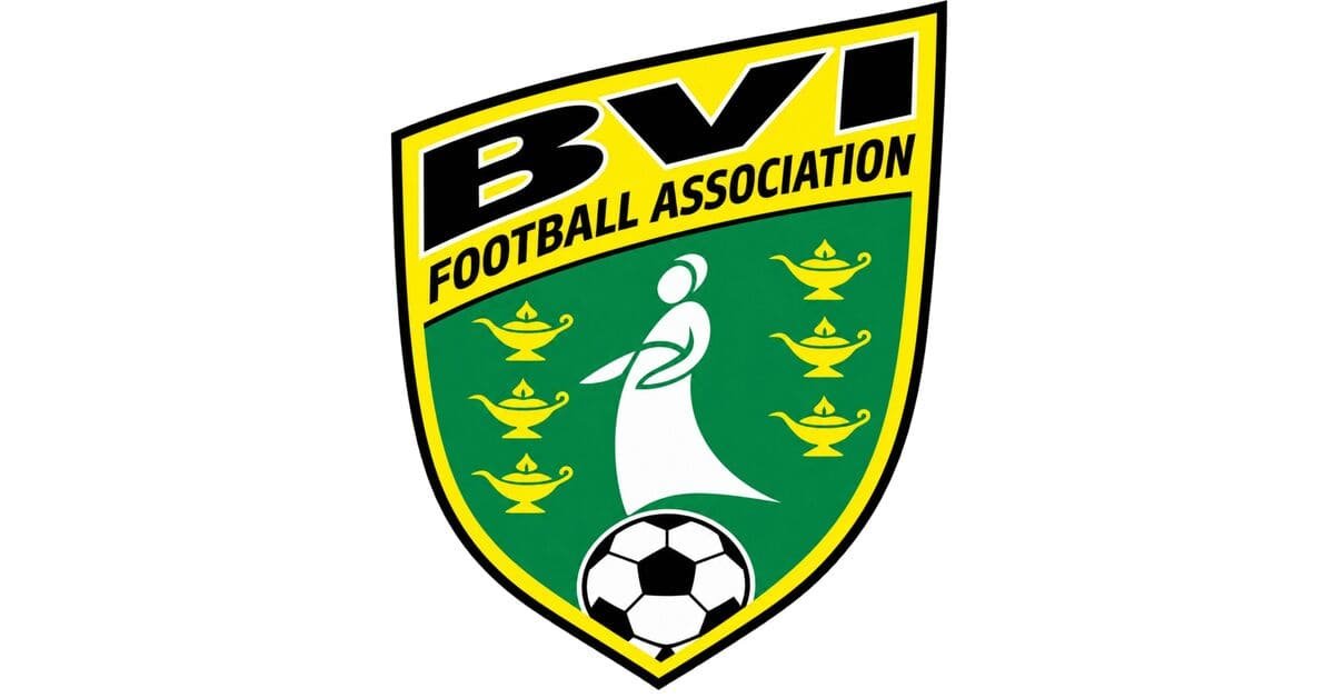 British Virgin Islands dls Logo