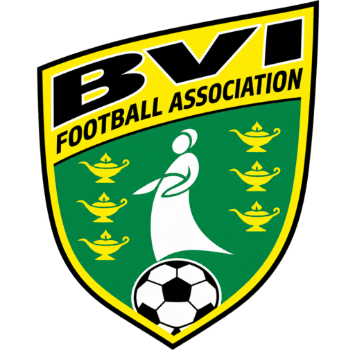 British Virgin Islands dls Logo