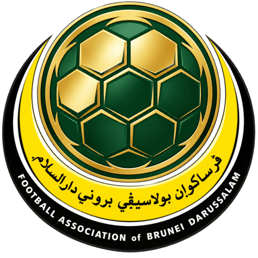 Brunei dls Logo