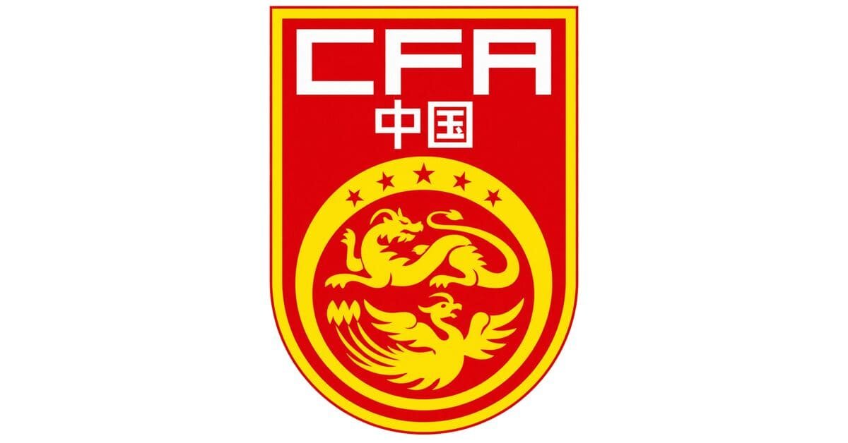 China dls Logo