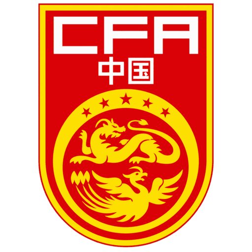 China dls Logo
