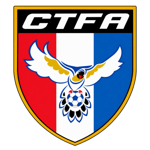Chinese Taipei dls Logo