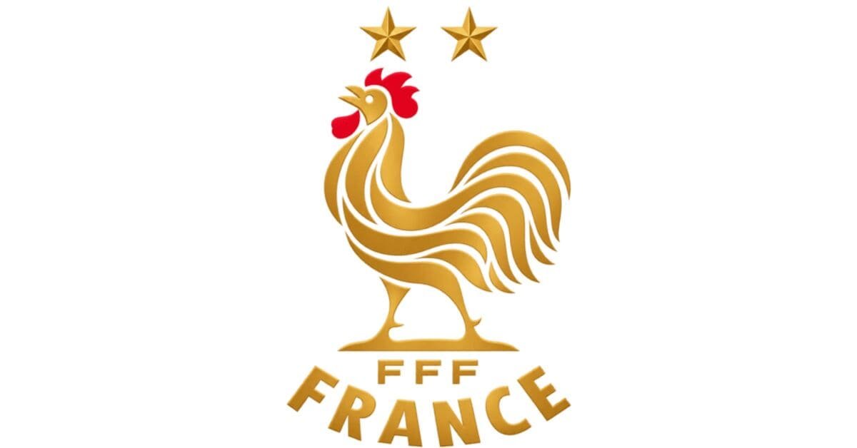 France dls Logo