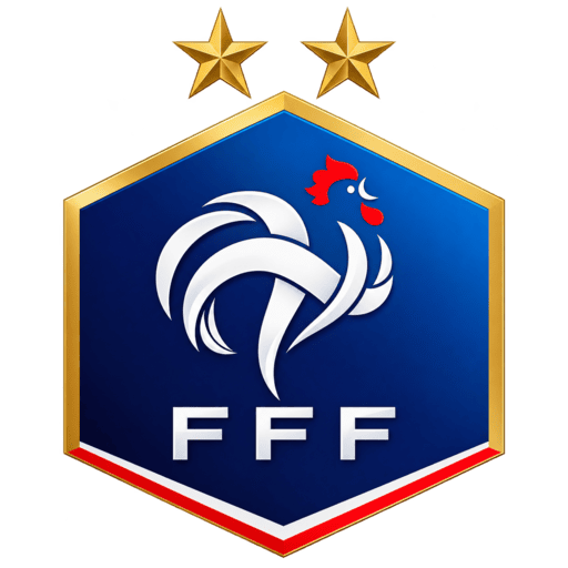 France dls Logo