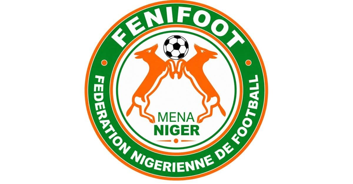 Niger dls Logo