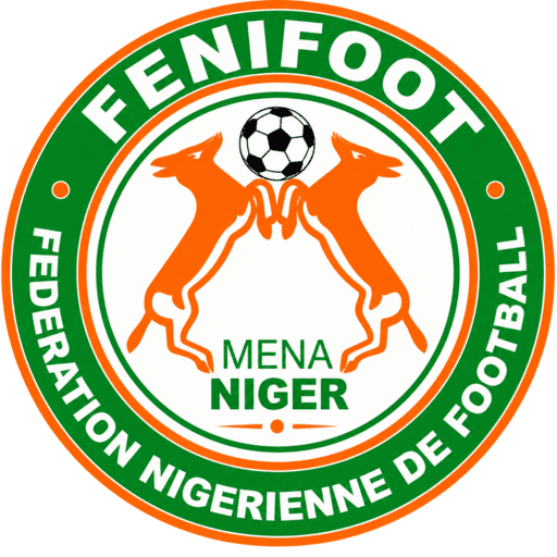 Niger dls Logo