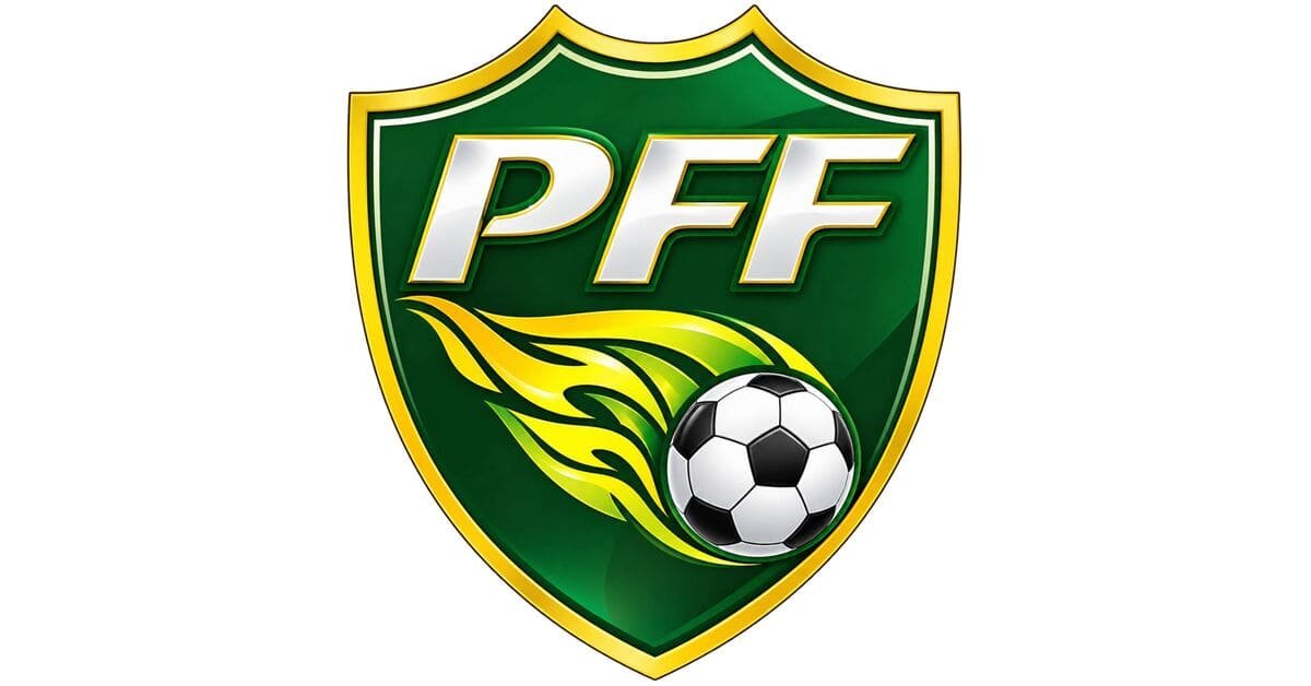 Pakistan dls Logo