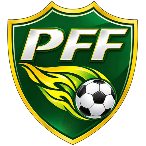 Pakistan dls Logo