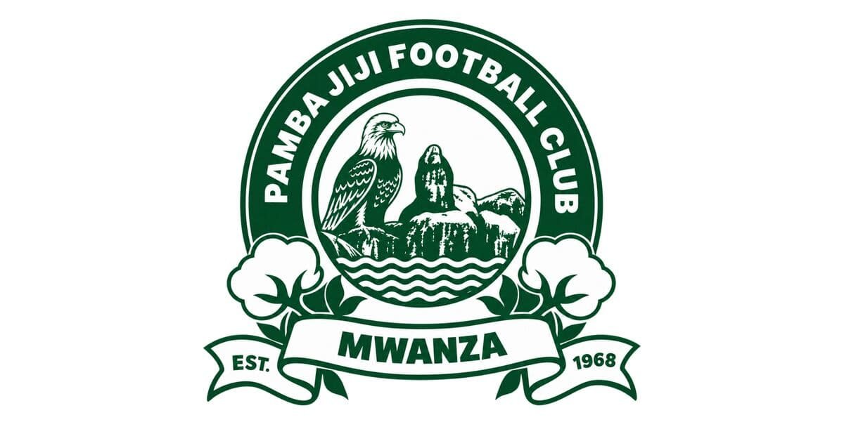 Pamba Jiji dls Logo
