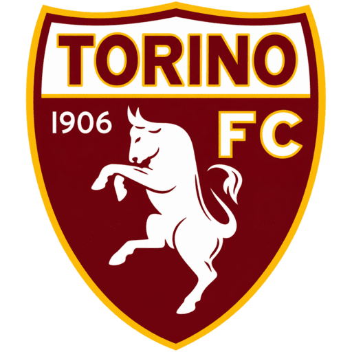 Torino dls Logo