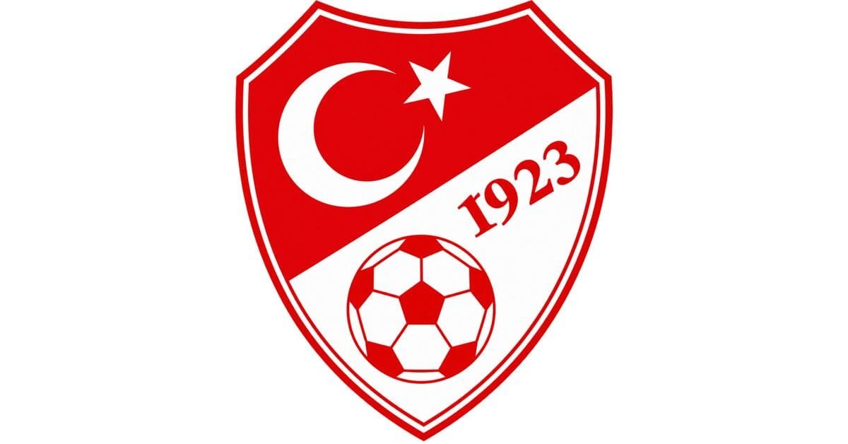 Türkiye dls Logo