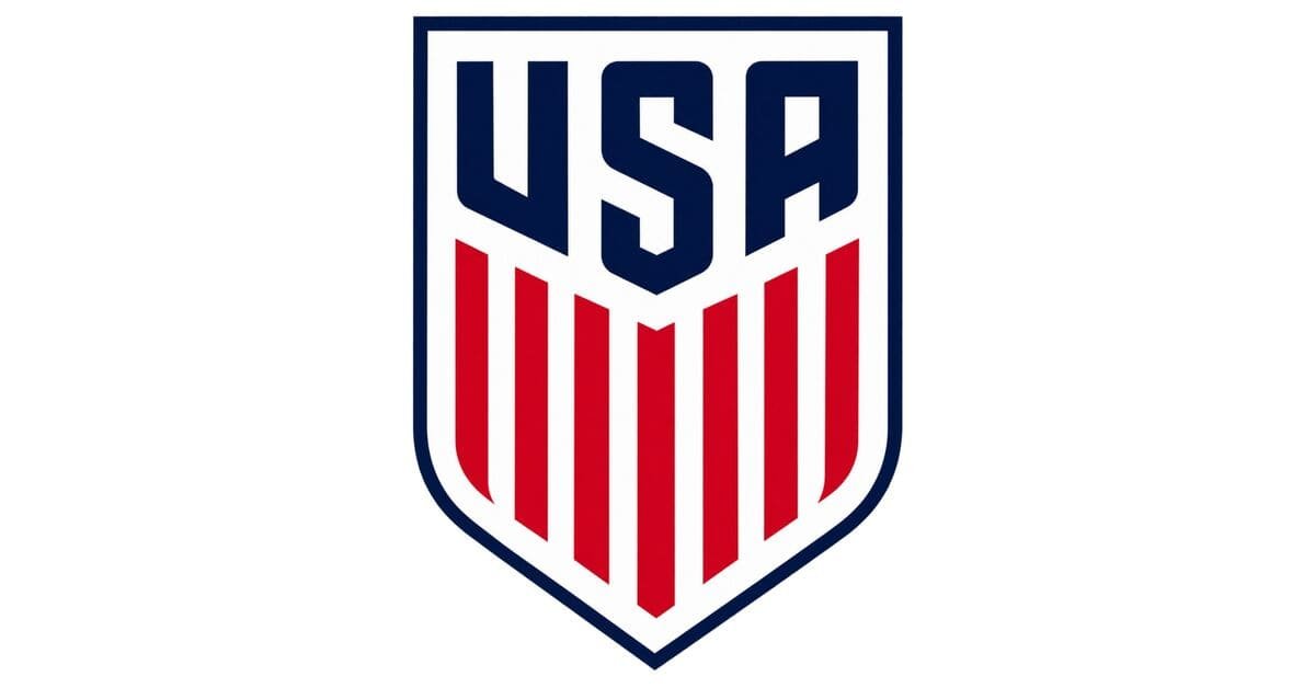 USA dls Logo