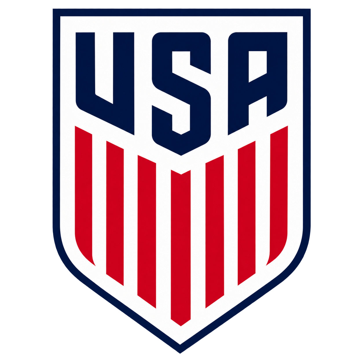 USA dls Logo